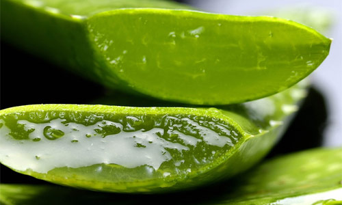 Aceite esencial de Aloe Vera