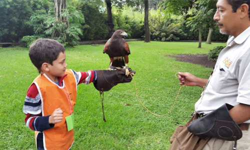 Cursos de vacaciones para niños en Guatemala